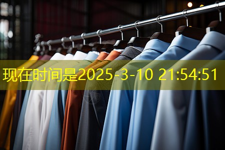 功率放大器仪器仪表电子工程师如何应对快速演变的技术环境中的挑战？