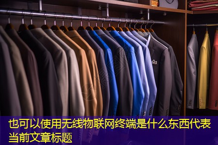 无线物联网终端是什么东西