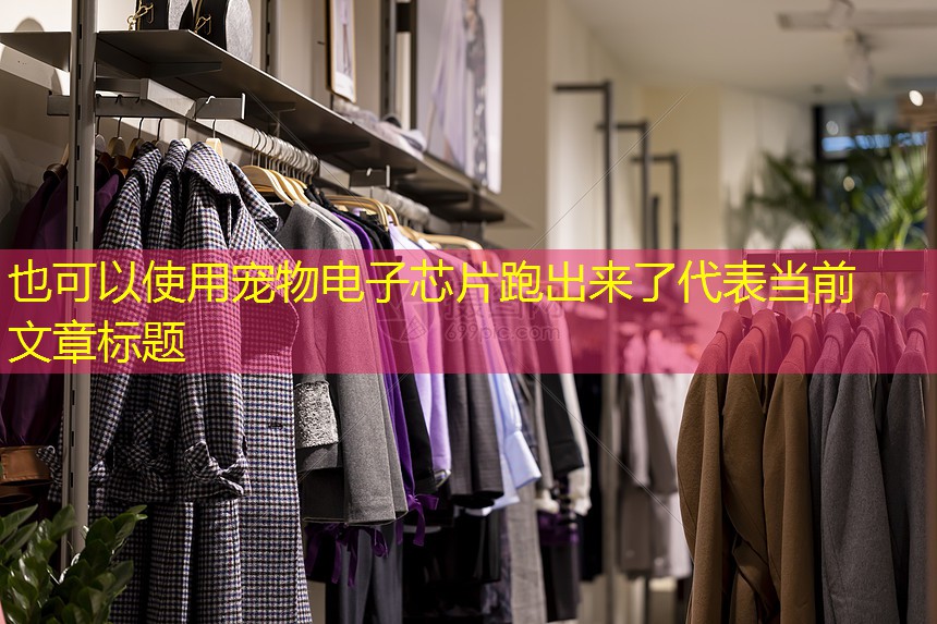 宠物电子芯片跑出来了 宠物电子芯片跑出来了
