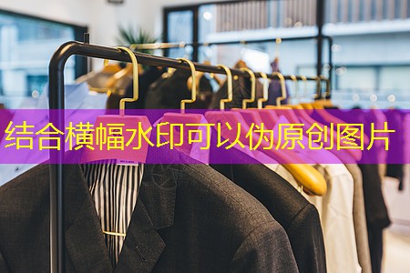 宠物电子芯片跑出来了 宠物电子芯片跑出来了