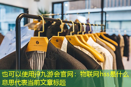 物联网hss是什么意思 物联网hss是什么意思
